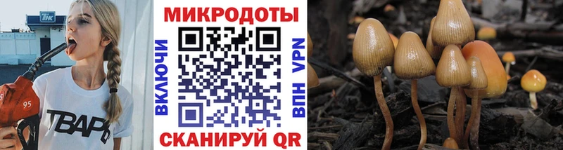 Галлюциногенные грибы MAGIC MUSHROOMS Белово