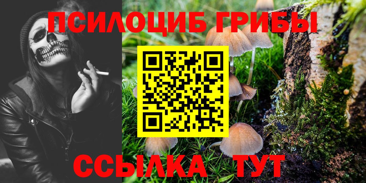 Галлюциногенные грибы GOLDEN TEACHER Белово