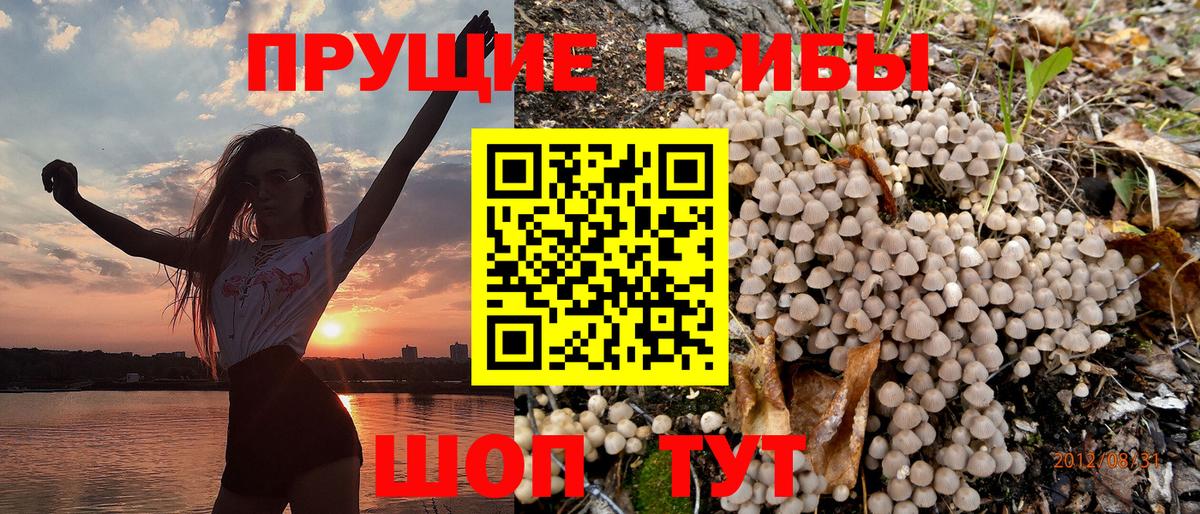 купить закладку  Вход с VPN  Белово  Псилоцибиновые грибы Cubensis  Галлюциногенные грибы Magic Shrooms 
